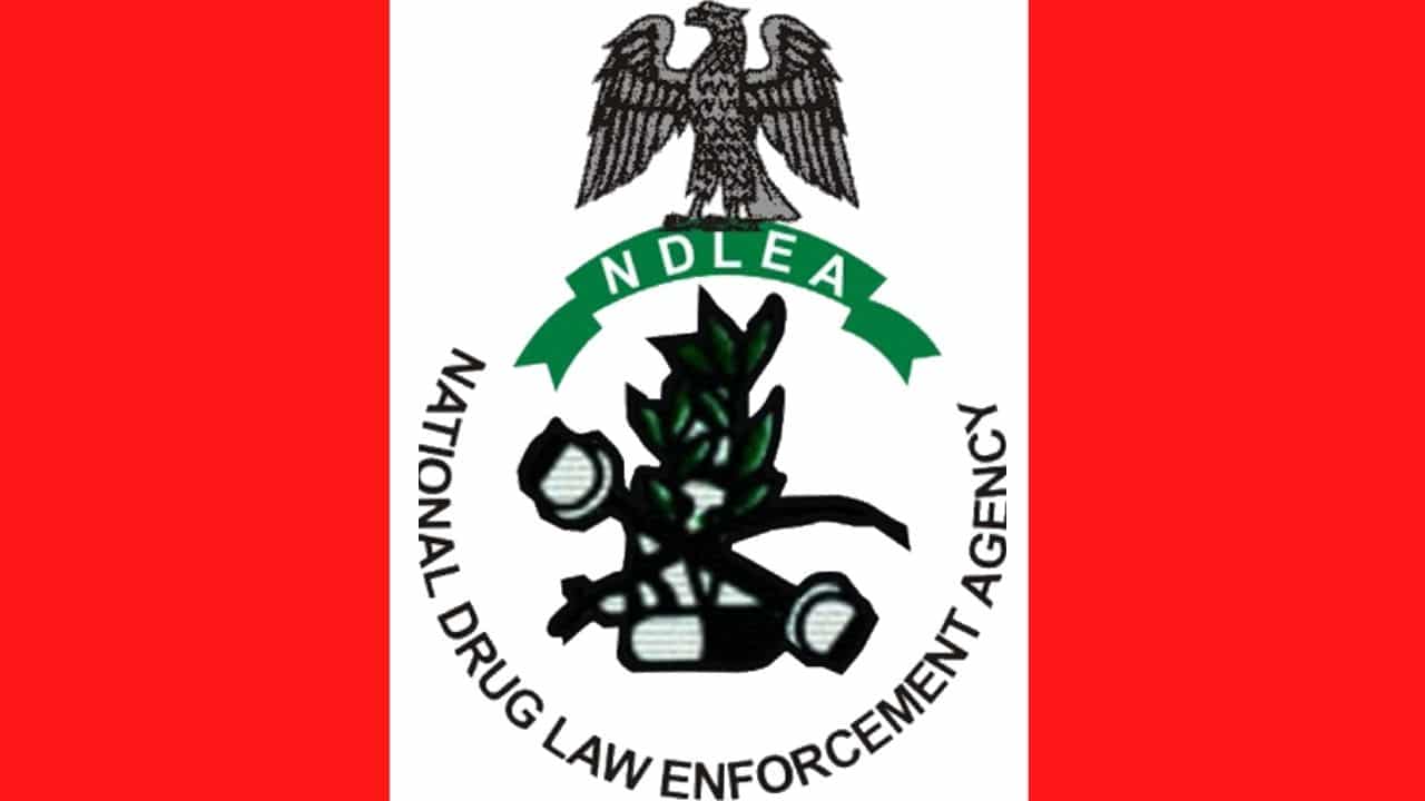 The NDLEA has confiscated a shipment of psychoactive substances concealed within noodles in Bayelsa.